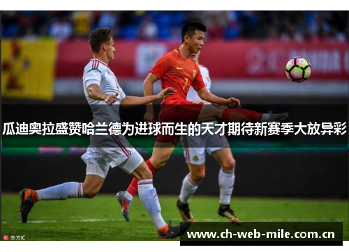 瓜迪奥拉盛赞哈兰德为进球而生的天才期待新赛季大放异彩 瓜迪奥拉盛赞哈兰德为进球而生的天才期待新赛季大放异彩